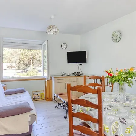 Apartment Le Bas Mont-dore *